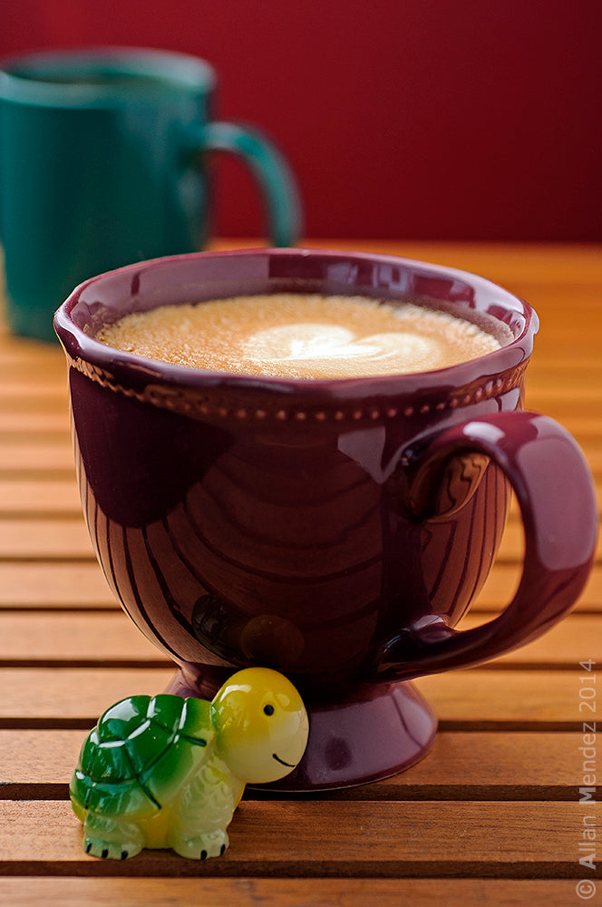 Coffee Cup with Turtle 